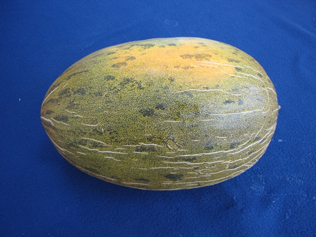 Piel de sapo type melon 52-630 p3